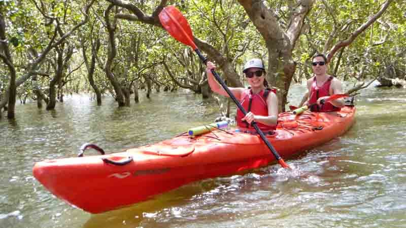 Join us for a unique Northland experience and kayak to the incredible Haruru Falls in the beautiful Bay of Islands!